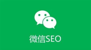 【1000课】第4课:公众号SEO:批量搜一搜引流日引流500+-海涛