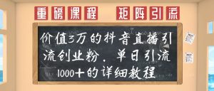 【1000课】第16课:价值3万的抖音直播引流创业粉,单日引流1000+的详细教程-海涛