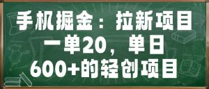 【1000课】第13课:手机掘金:拉新项目一单20,单日600-1200的轻创项目!-海涛