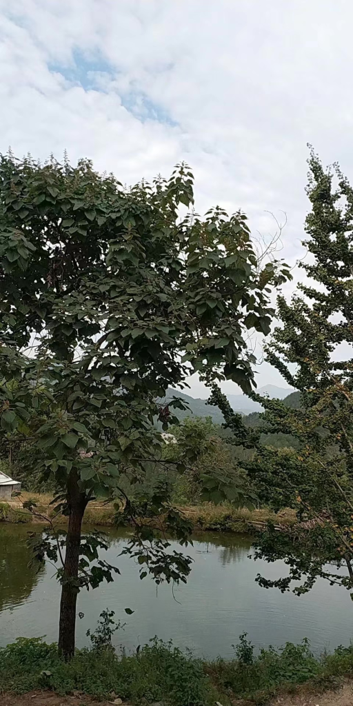 图片[2]-海涛：我是谁？从负数起步到一年花400多万!-海涛