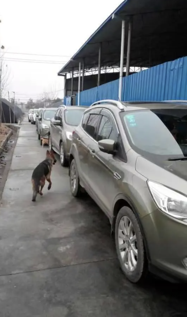 图片[5]-海涛：我是谁？从负数起步到一年花400多万!-海涛