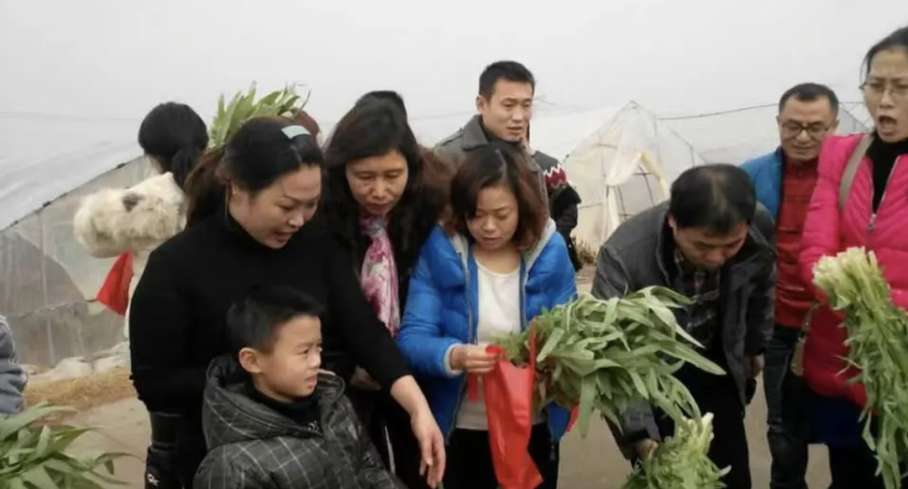 图片[6]-海涛：我是谁？从负数起步到一年花400多万!-海涛