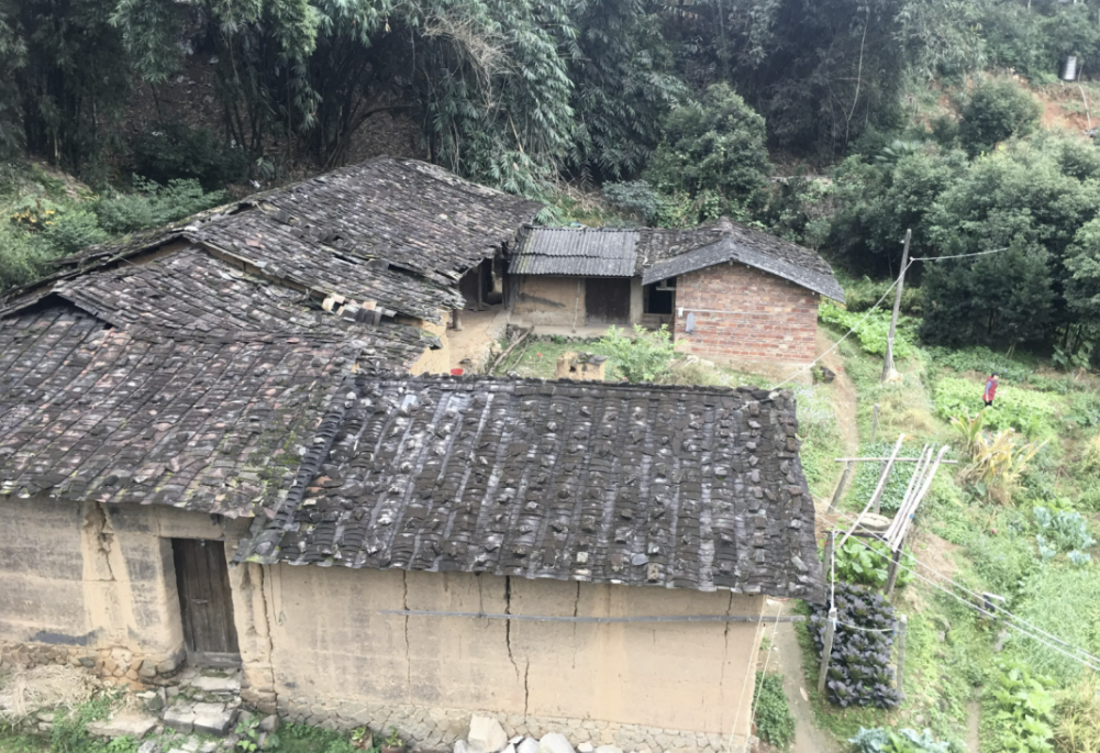 图片[1]-海涛：我是谁？从负数起步到一年花400多万!-海涛